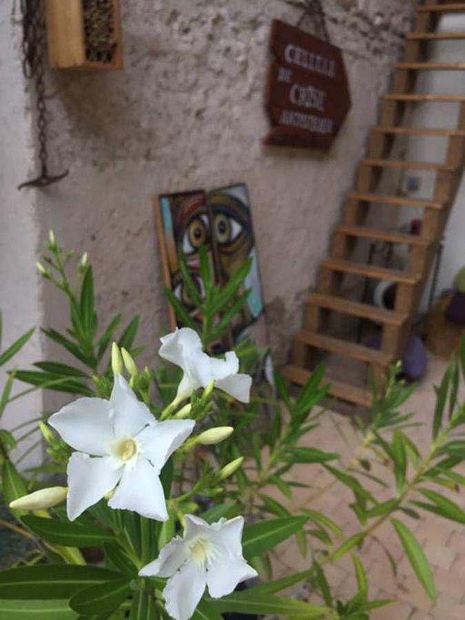 La Grange De La Batone - Bed And Breakfast Messimy-sur-Saone Dış mekan fotoğraf