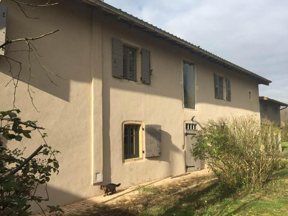La Grange De La Batone - Bed And Breakfast Messimy-sur-Saone Dış mekan fotoğraf